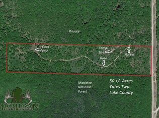 State Rd, Chase, MI 49623