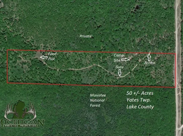 State Rd, Chase, MI 49623