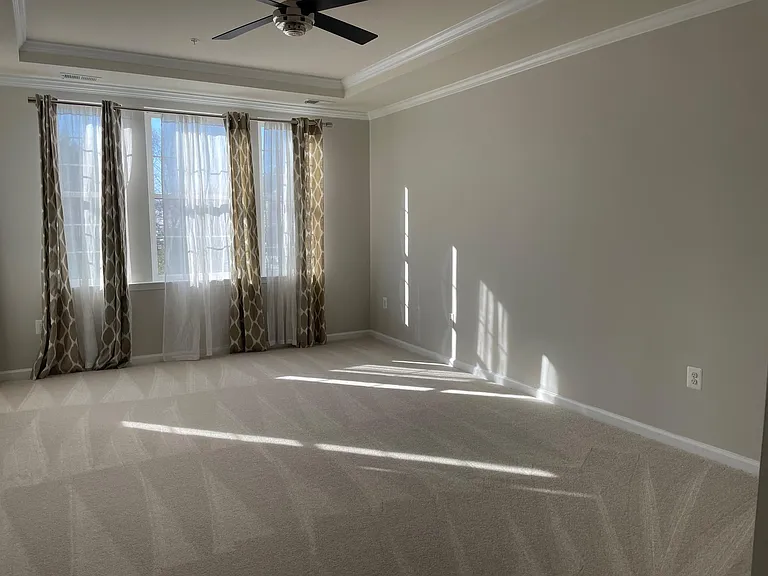 44037 Vaira Ter #290 — Photo 3