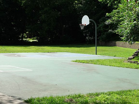 Half Court in Park