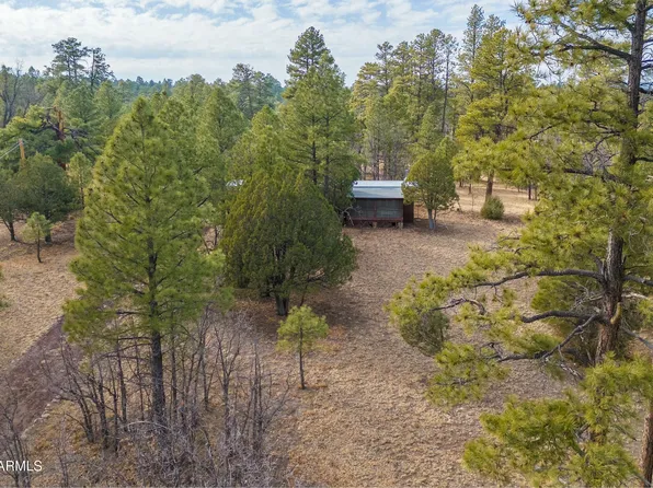2412 VELVET ANTLER Trail, Happy Jack, AZ 86024