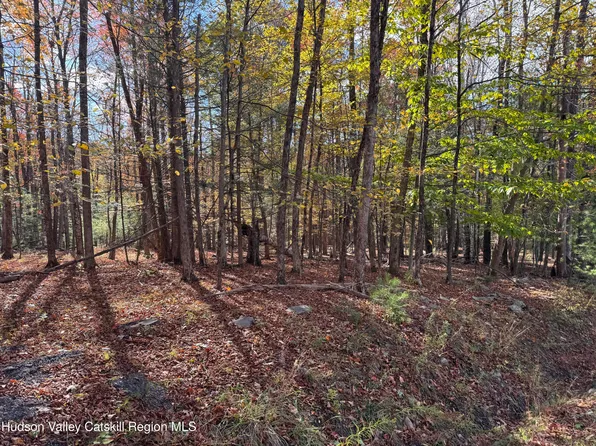 Tbd Cross Patch Road, Willow, NY 12495