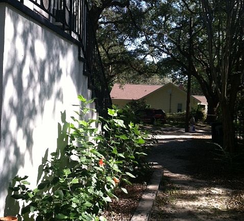 Unit 2 Garden