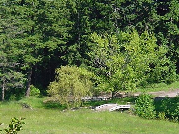 Bridge in meadow on the a