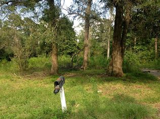 161 River Jordan Dr, Shepherd, TX 77371