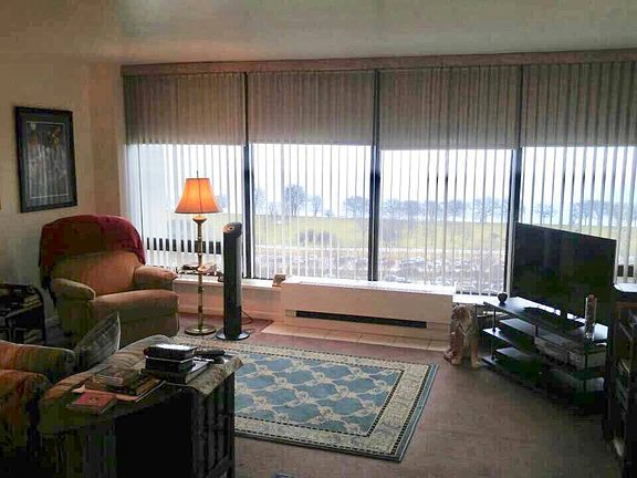 Living room afternoon vibe