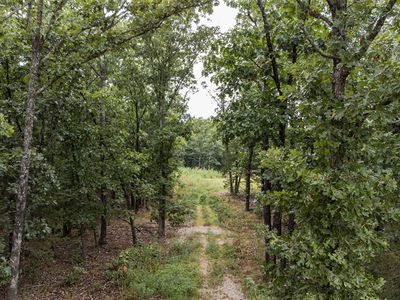 Peterson Rd, Bland, MO, 65014