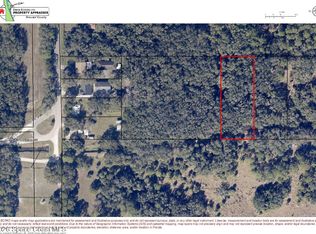 0 Wild Turkey Rd, Mims, FL 32754
