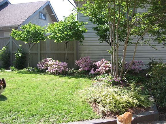 Fenced back yard