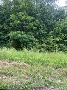 29311 Rabbit Ridge Rd, Howard, OH, 43028