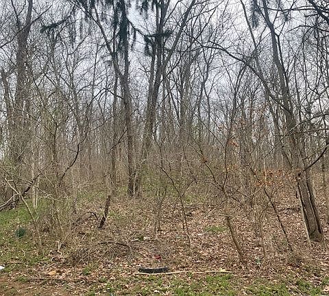2nd image of 37180 Sumner Rd