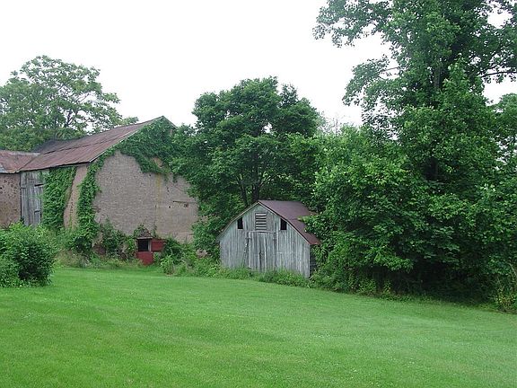 rear of barn