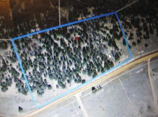 1325 Texas Creek Ln, Cotopaxi, CO 81223