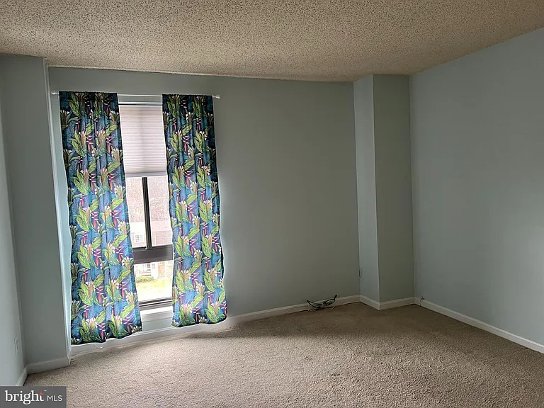 807 N Howard St #414 — Photo 19