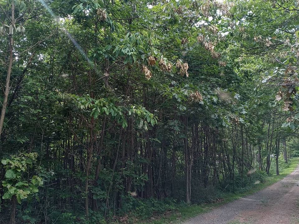 1st image of 311 White Deer Dr Lot 18