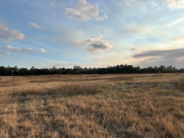 NE 240th Ave, Fort Mc Coy, FL 32134