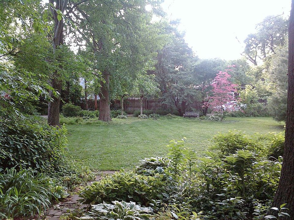 Beautiful back yard