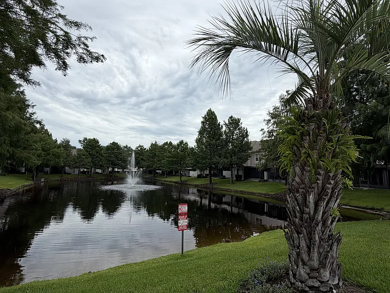 536 Pinebranch Cir — Photo 23