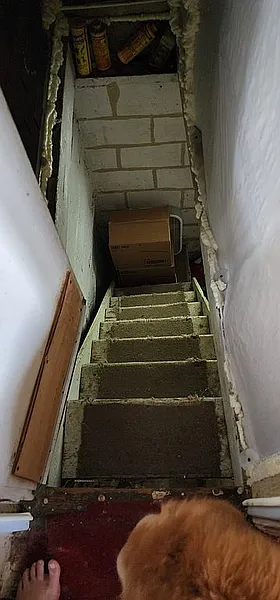 Thumbnail 12