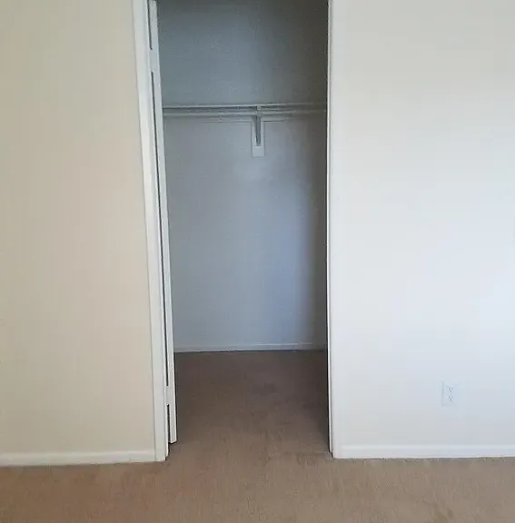 30749 Point Woods Ct — Photo 11