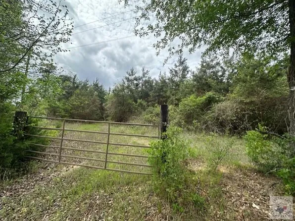 32.024 Acres Cres #3660, Queen City, TX 75572