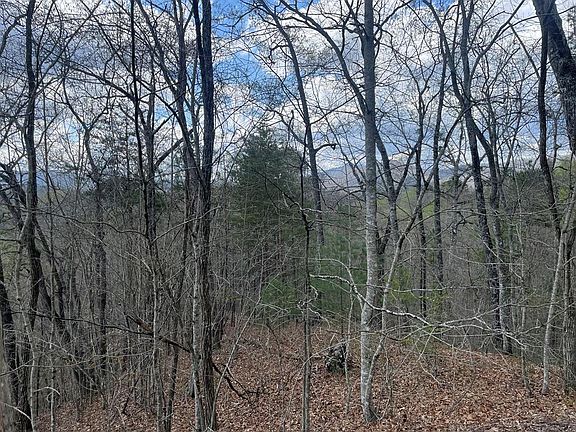3rd image of 58-1 Fontana Lake Dr