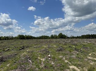 River Rd, Allendale, SC 29810