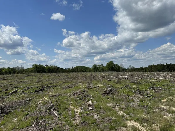 River Rd, Allendale, SC 29810