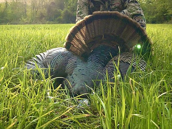 48th image of this home