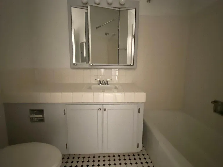 2719 N Pine Grove Ave #301 — Photo 10