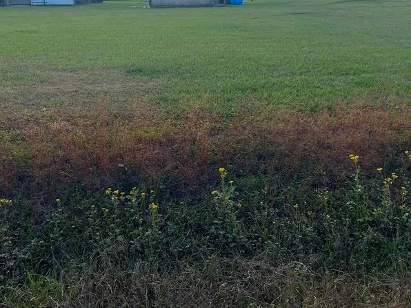 LOT 13 Roy St, Plattenville, LA 70393