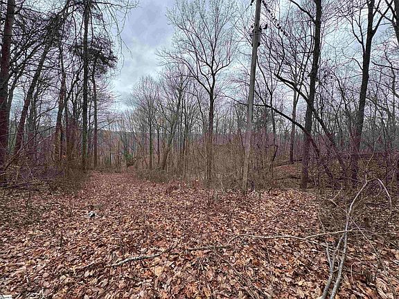 2nd image of 100 Chestnut Mountain Rd