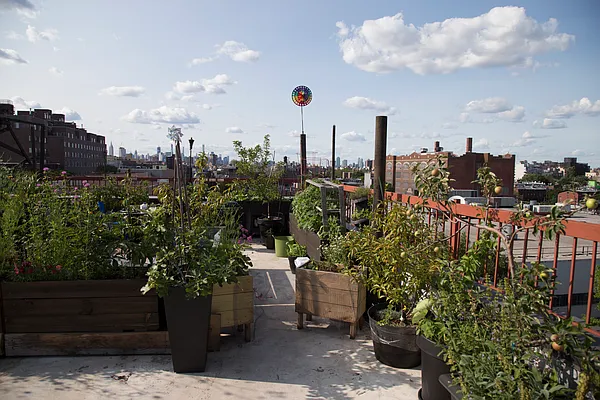 Rented by City Vista Inc | media 69