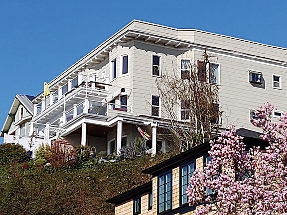 The house.