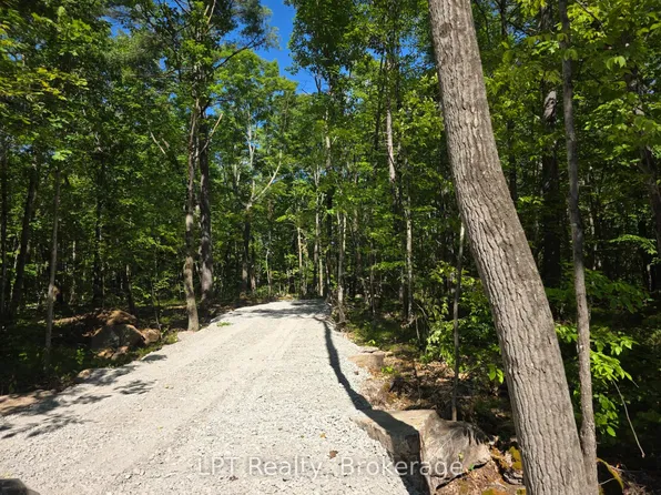 38 Marble Point Rd, Marmora And Lake, ON K0K 2M0