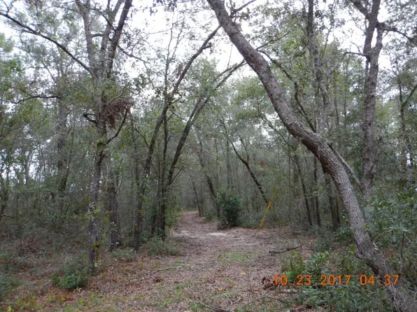 136 Lakewood Dr, Interlachen, FL 32148