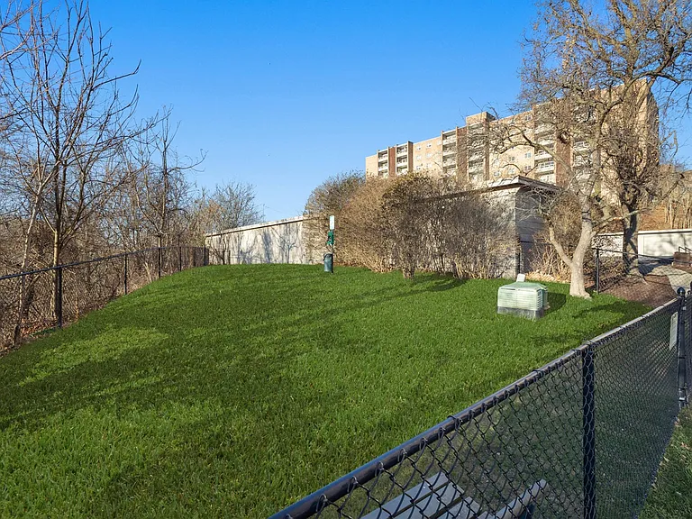 Dog Park