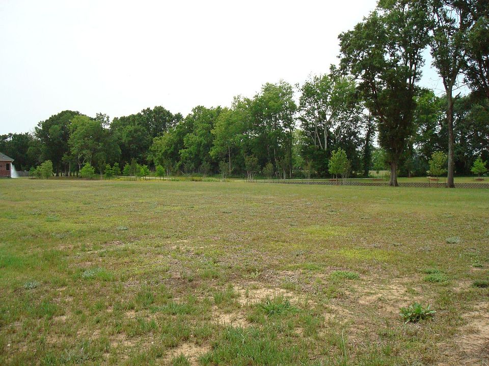 Lot View