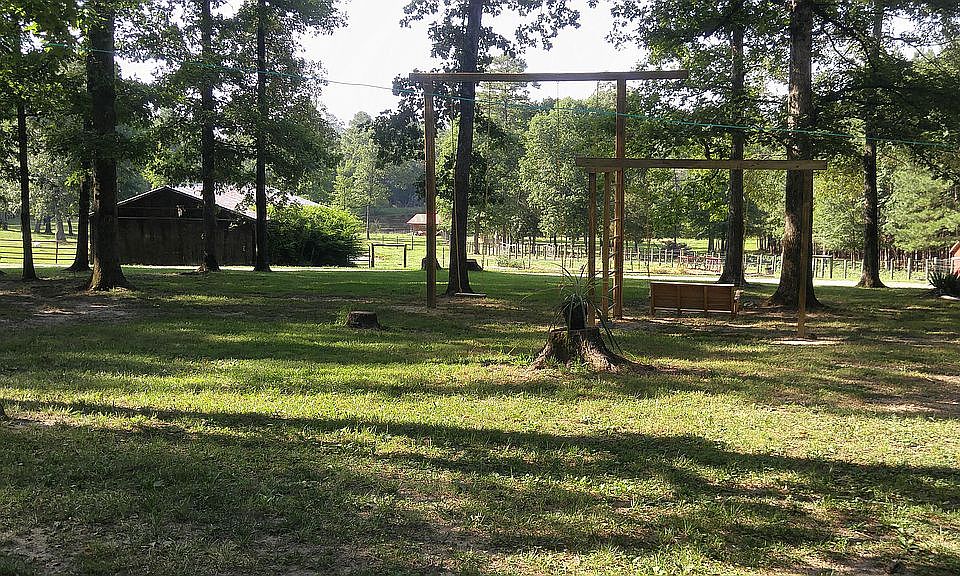 View from Back Porch