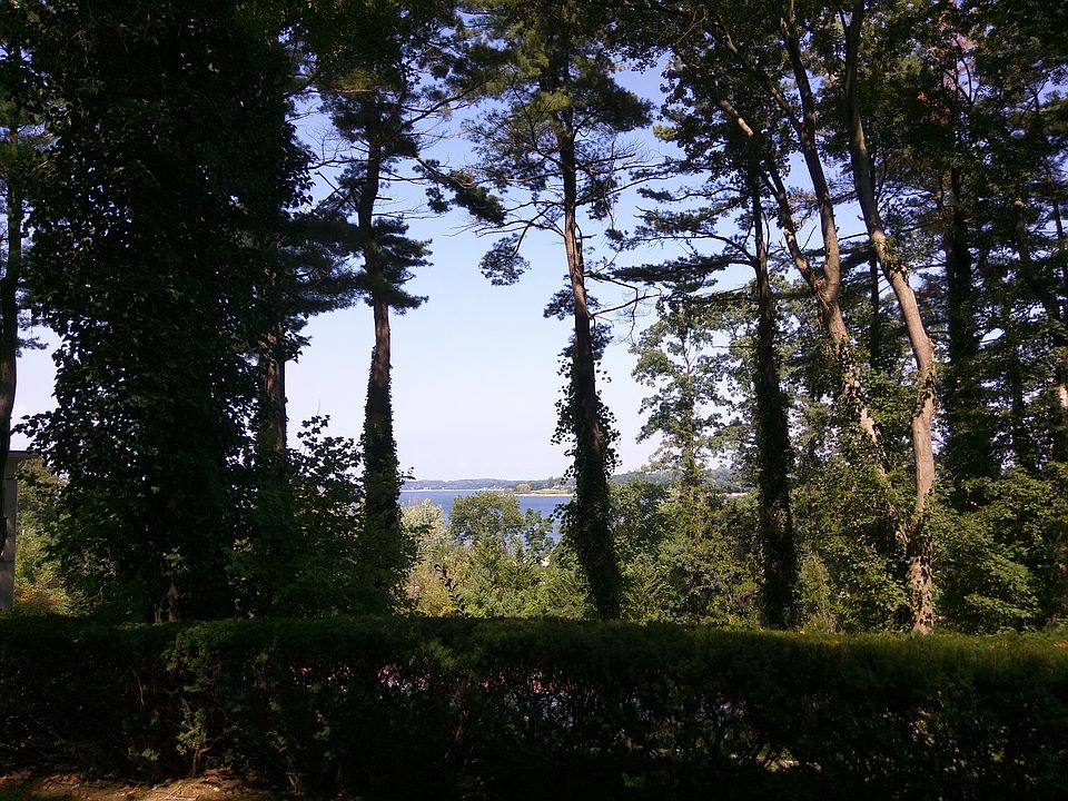 The view