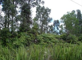 Wailele St, Mountain View, HI 96771