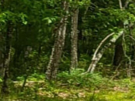 5th image of 0 County Rt 312