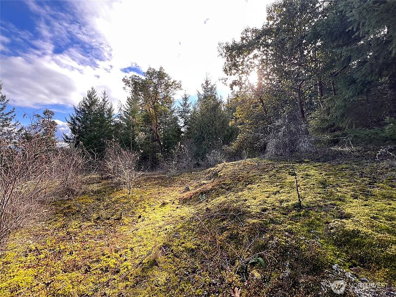 3rd image of 59 X Moose Mountain Road
