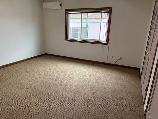 Upstairs master with mini split air conditioner, cathedral ceilings and skylight.