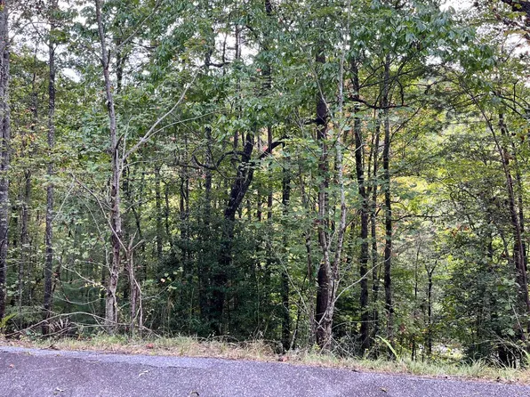 0 Brasstown Creek Rdg, Brasstown, NC 28902