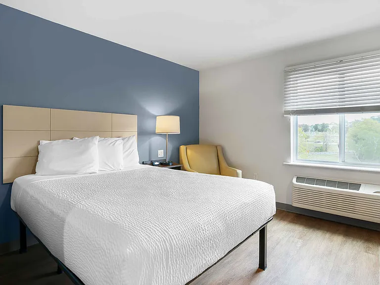 Studio Suite - 1 Queen Bed