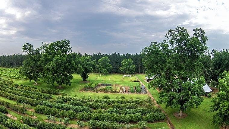 1st image of 30497 Hixson Rd