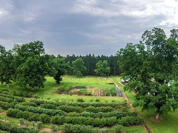 30497 Hixson Rd, Elberta, AL 36530