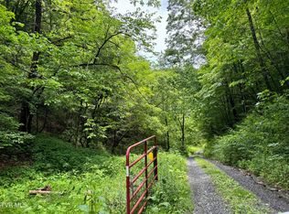 Tbd Long Hollow Rd, Elizabethton, TN 37643