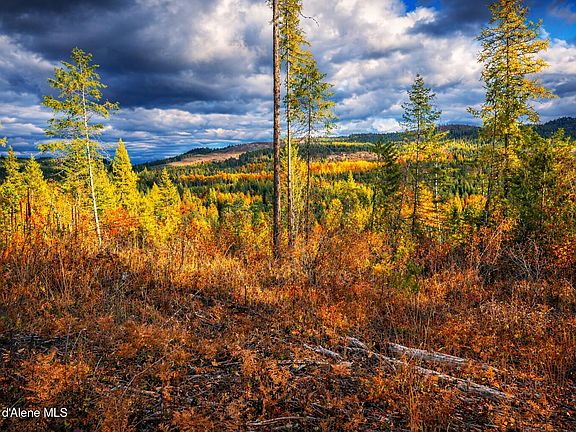 3rd image of 1 Crosswhite Rd